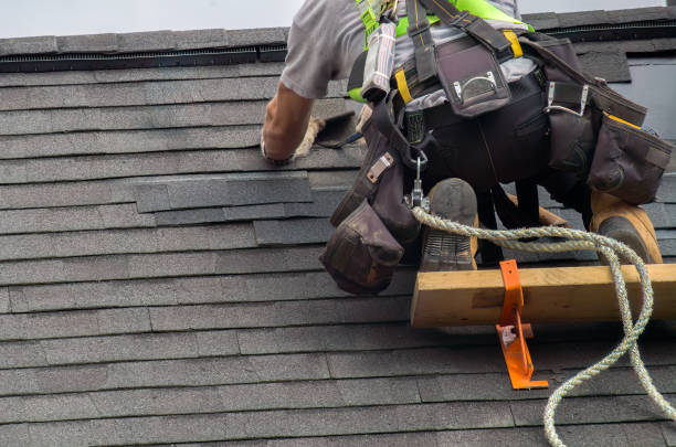 Best Roof Moss and Algae Removal  in George Mason, VA